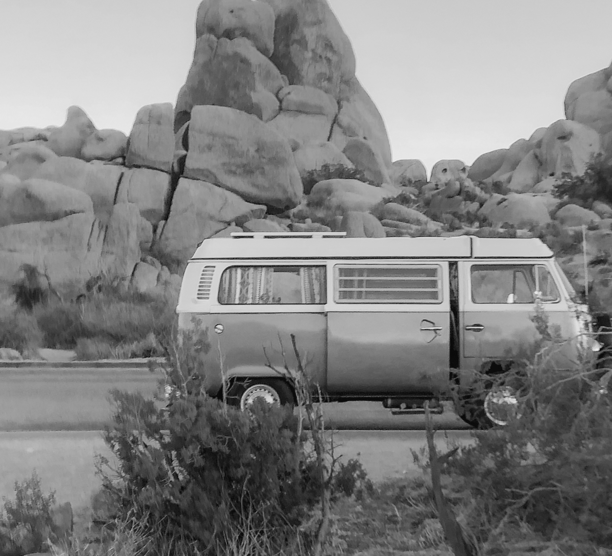 vegetarian restaurants in joshua tree Archives Shutter and Mint