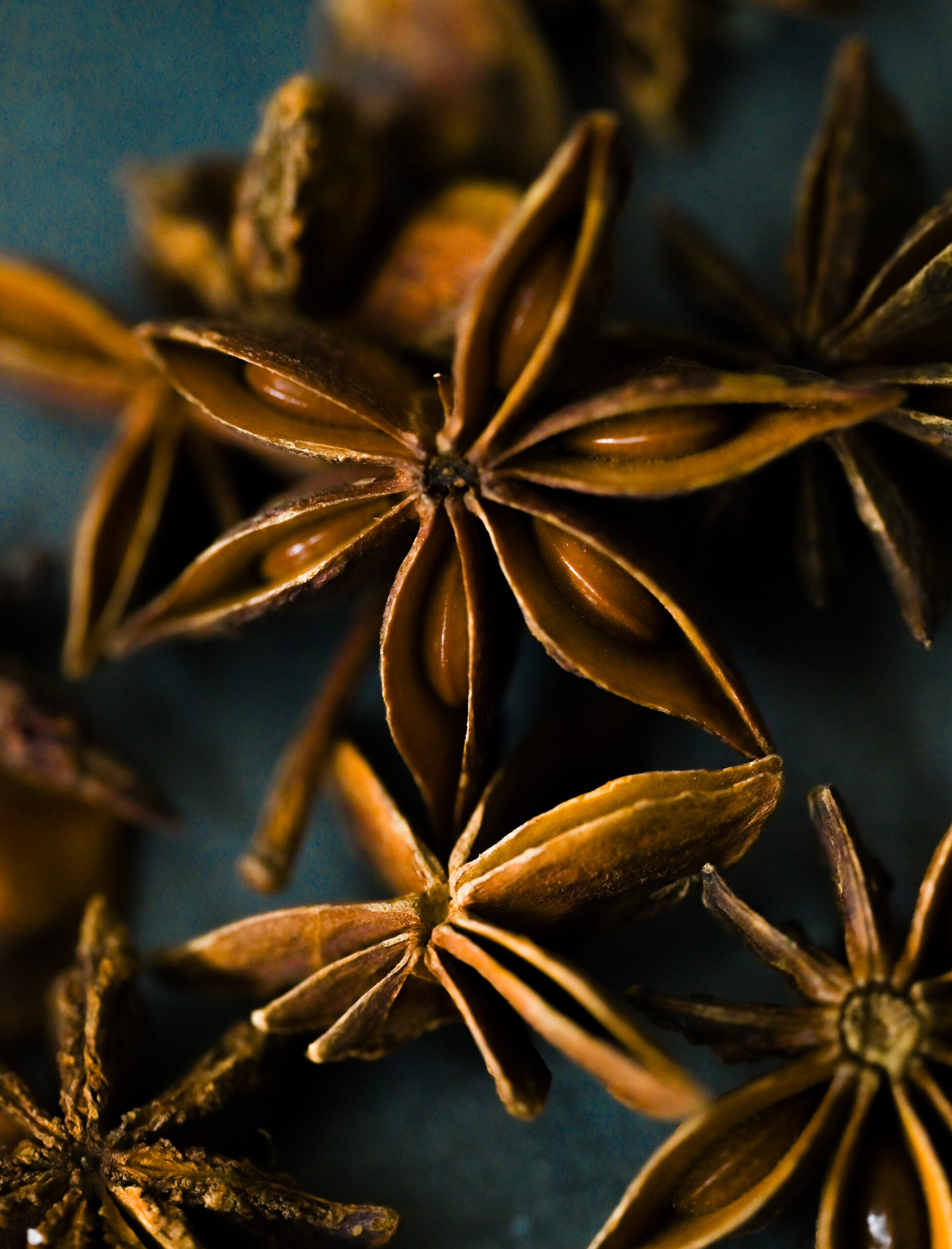 Close-up artistic shot of star anise (just for visual appeal). 