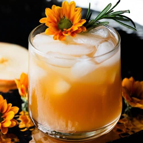 Featured Image: Apple Cider Vinegar Mocktal