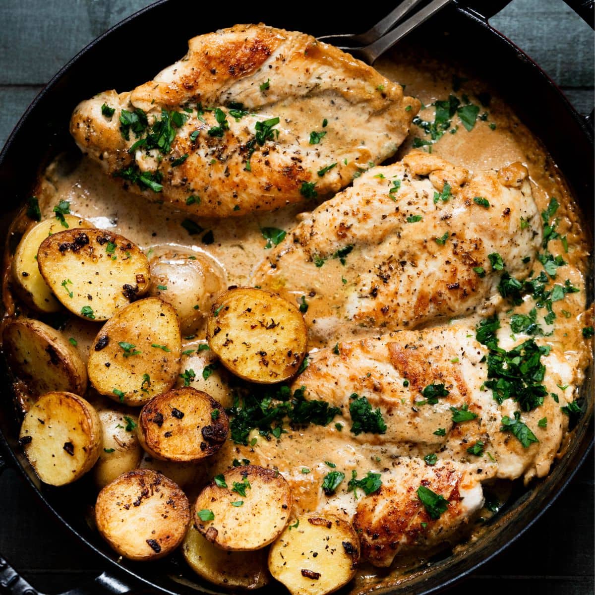 Hero image of boursin chicken and potatoes in a dutch oven.