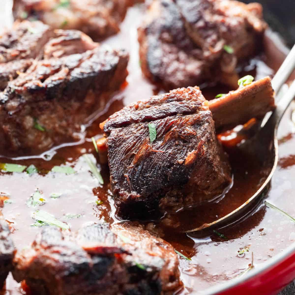 Italian braised short ribs in tomato sauce hero image.  Up close image of a short rib on a spoon. 