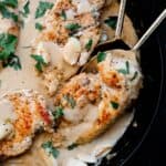Dutch Oven Chicken Breast with Garlic Cream Sauce