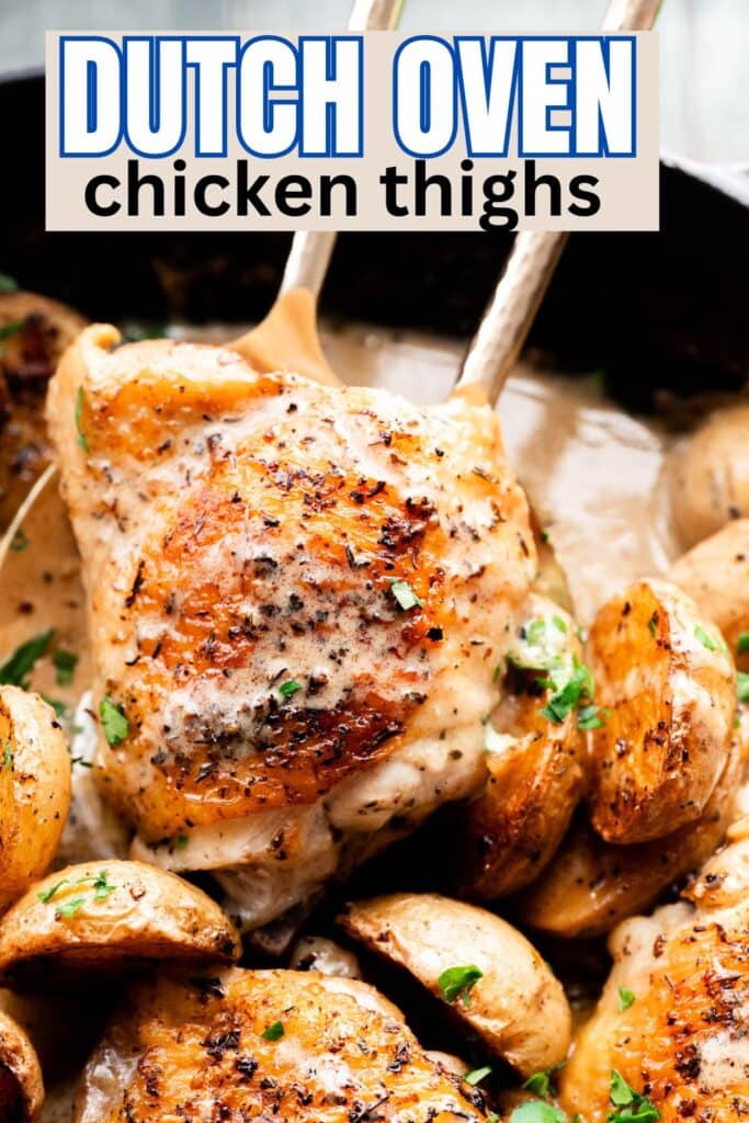 Dutch Oven Chicken Thighs with Mustard Sauce Shutter + Mint