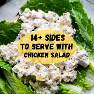 Chicken salad hero image.