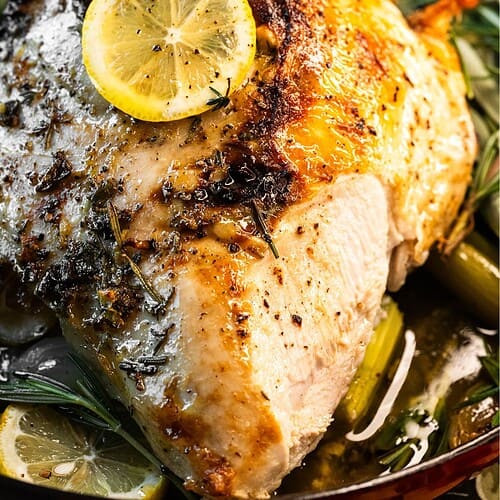 Hero Image of dutch oven bone-in turkey breast with a lemon slice.