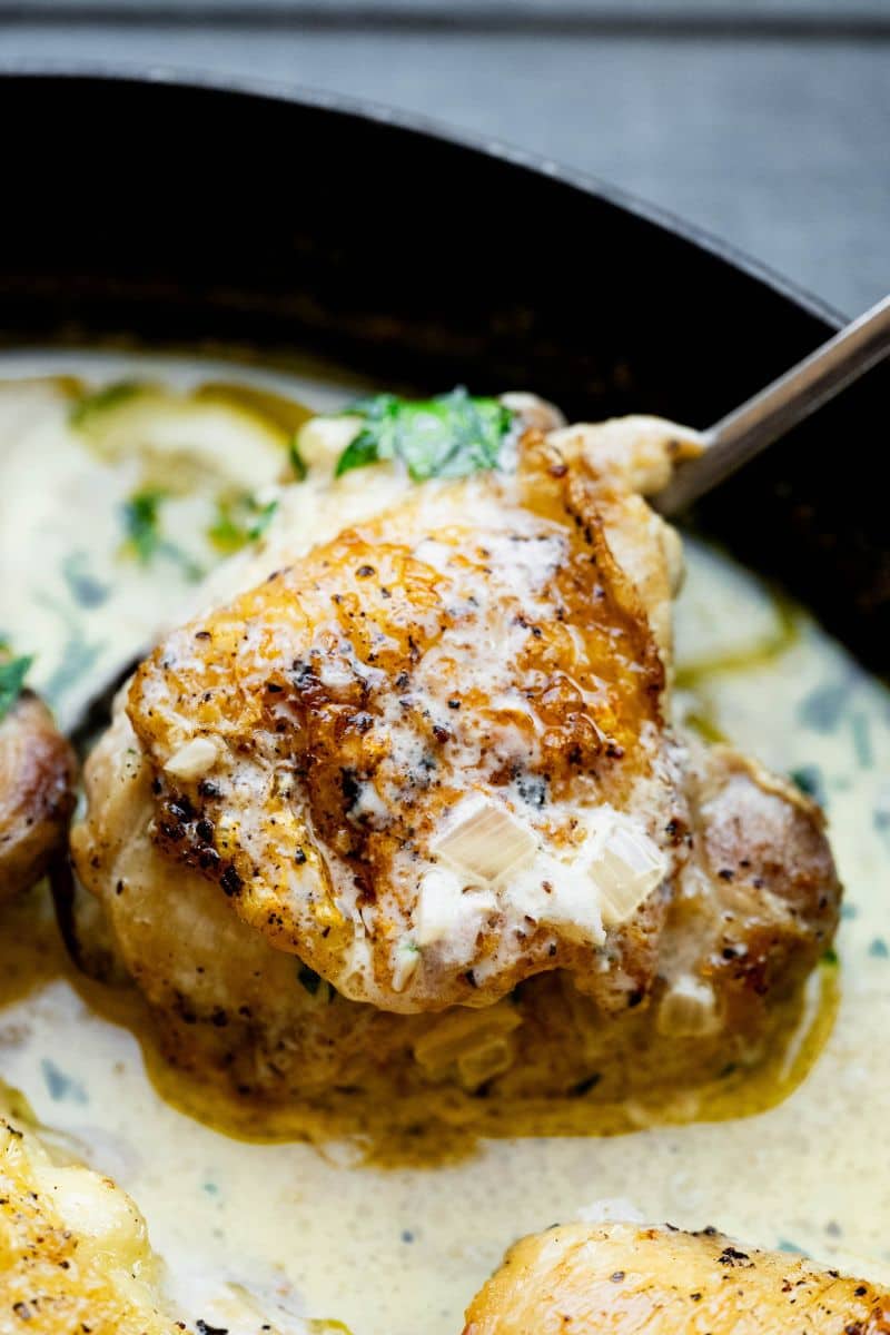 Close up image of a chicken thigh with Boursin Cream Sauce. 