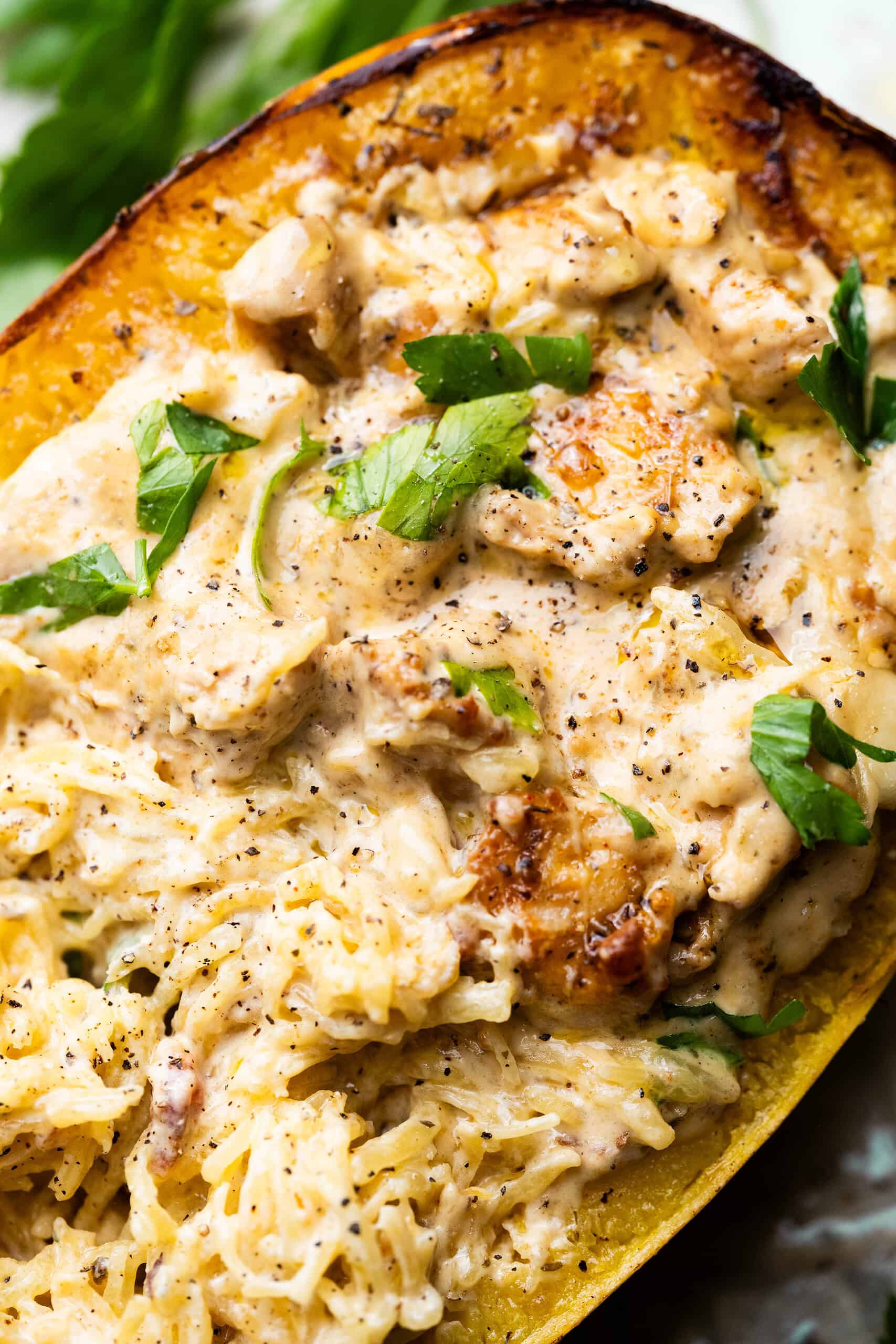 Chicken alfredo spaghetti squash close up image. 